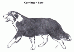 A1-carriage-low